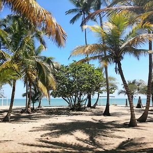 Hotel Playa Mandala